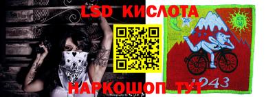 шишки Кунгур
