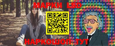 spice Кулебаки
