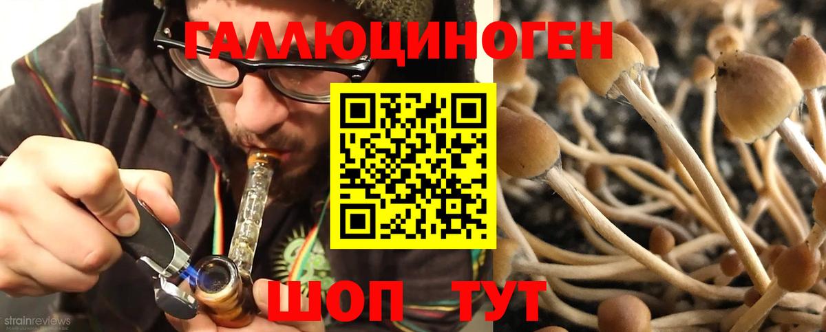 Жуковский  Галлюциногенные грибы MAGIC MUSHROOMS  Вход с VPN 